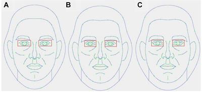 The Relative Contribution of Jawbone and Cheekbone Prominence, Eyebrow Thickness, Eye Size, and Face Length to Evaluations of Facial Masculinity and Attractiveness: A Conjoint Data-Driven Approach